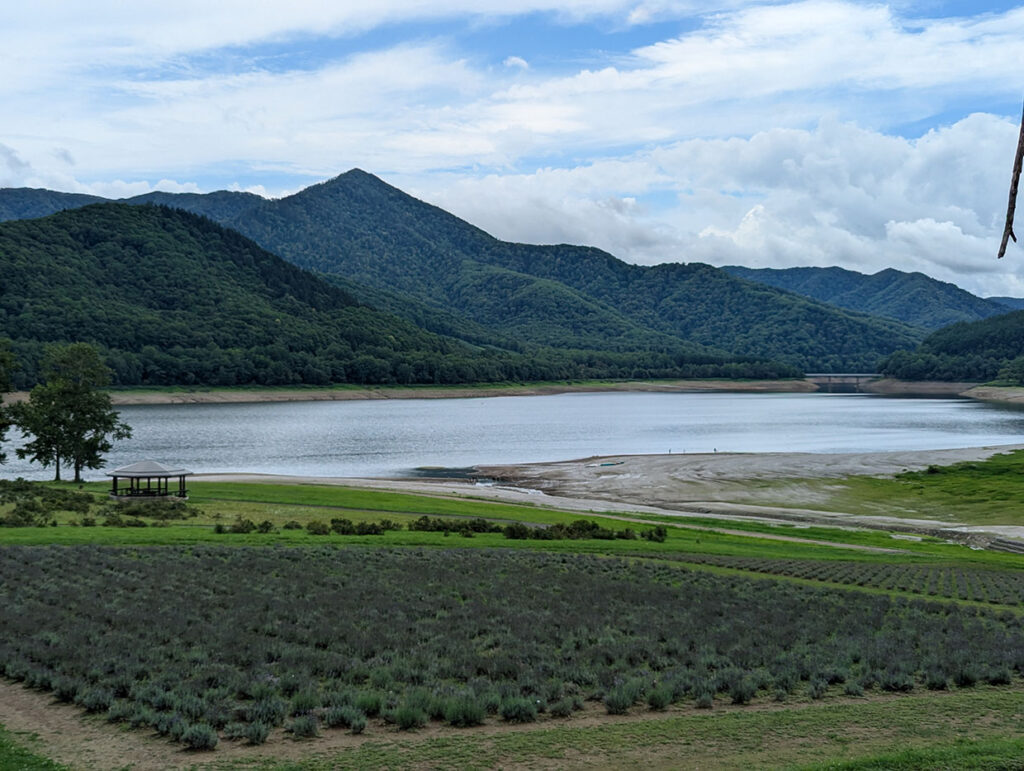 かなやま湖ラベンダー畑