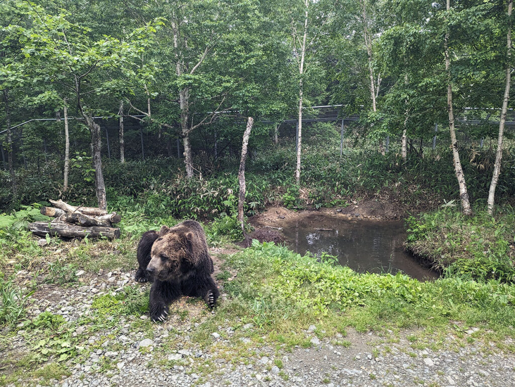 ベア・マウンテンの写真